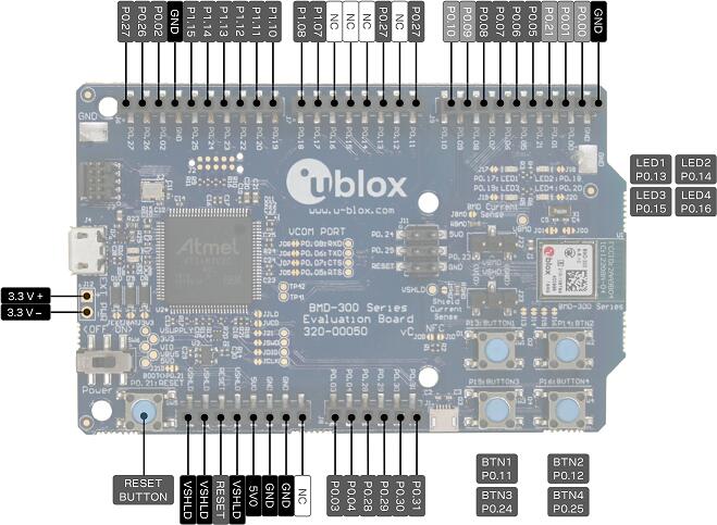 BMD-300-EVAL pin-out