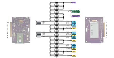 reel board Expansion Connector