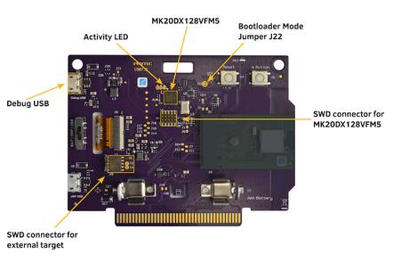 reel board Debug Adapter